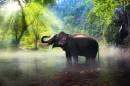 Wilder Elefant in Thailand