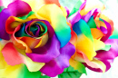 Handgemachte Regenbogen-Rose
