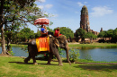 Elefant in Ayutthaya, Thailand