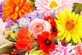 Bunte Stoff Blumen