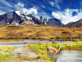Nationalpark Torres del Paine, Chile