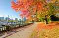 Stanley Park in Vancouver, Kanada