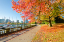 Stanley Park in Vancouver, Kanada
