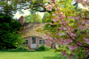 Pink Cottage