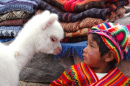 Ein Junge und ein Lama. Arequipa, Peru
