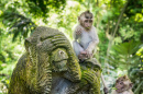 Affenwald von Ubud, Bali
