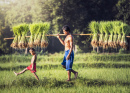Thai Reisbauer mit Sohn