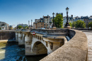 Pont Neuf und Ile de la Cite in Paris