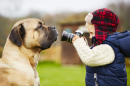 Junge fotografiert seinen Hund