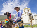 Quechua Indianische Frau mit einem Alpaka