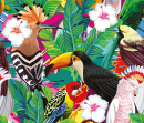 Tropische Vögel