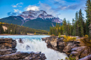 Athabasca Wasserfall, Jasper-Nationalpark