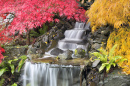 Hinterhof Wasserfall mit japanischen Ahornbäumen