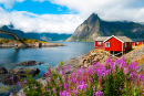 Fischerhäuser auf den Lofoten, Norwegen