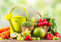 Frisches Obst und Gemüse