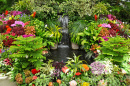Tropischer Garten mit Farbigen Blumen