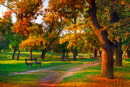 Herbstfarben im Park