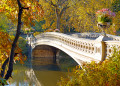 Bogenbrücke in Central Park, New York City