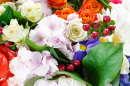 Hortensie, Rose, Iris und Anthurium