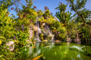 Karpfen-Fisch-Teich in einem japanischen Garten