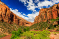 Natürlicher Felsen-Bogen in Zion National Park