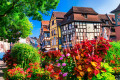 Blumen in Colmar, Frankreich