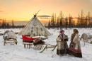 Nenzen Nomaden, Yamal, Russland