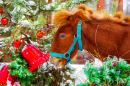 Rothaariges Pony mit einem Weihnachtsbaum
