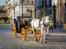 Pferdekutsche in Sevilla, Spanien