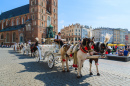 Pferdekutschen in Krakau, Polen