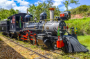 Old May Lokomotive, Tiradentes, Brasilien