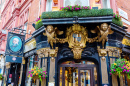 The Salisbury Pub in London