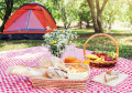Sommerpicknick