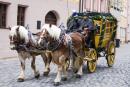 Pferdekutsche in Nuremberg, Deutschland
