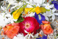Bouquet von hellen Blumen