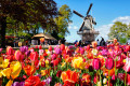 Keukenhof, Niederlande