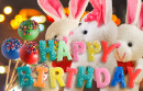 Geburtstags Kaninchen