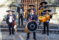 Mariachi während des Karnevals in Mexiko