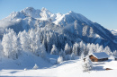 Wintermärchen, österreichische Alpen