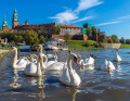 Wawel, Krakau, Polen