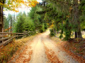 Herbst Wisconsin Landschaft