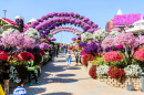 Dubai Miracle Flower Garden