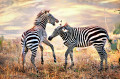 Wildes Zebra auf dem afrikanischen Flachland