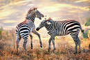 Wildes Zebra auf dem afrikanischen Flachland