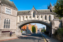 Christ Church Cathedral in Dublin, Irland