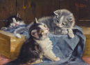 Drei Kätzchen auf blauer Decke