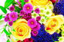 Farbenfrohe Blumen
