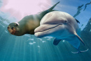 Delphin und Seelöwe