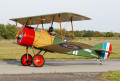 Doppeldecker Camel F.1, Air Fest in Tschechei