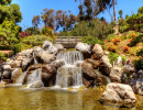 Teich mit Wasserfall und tropischen Pflanzen